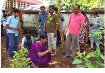 Tree Planting Initiative